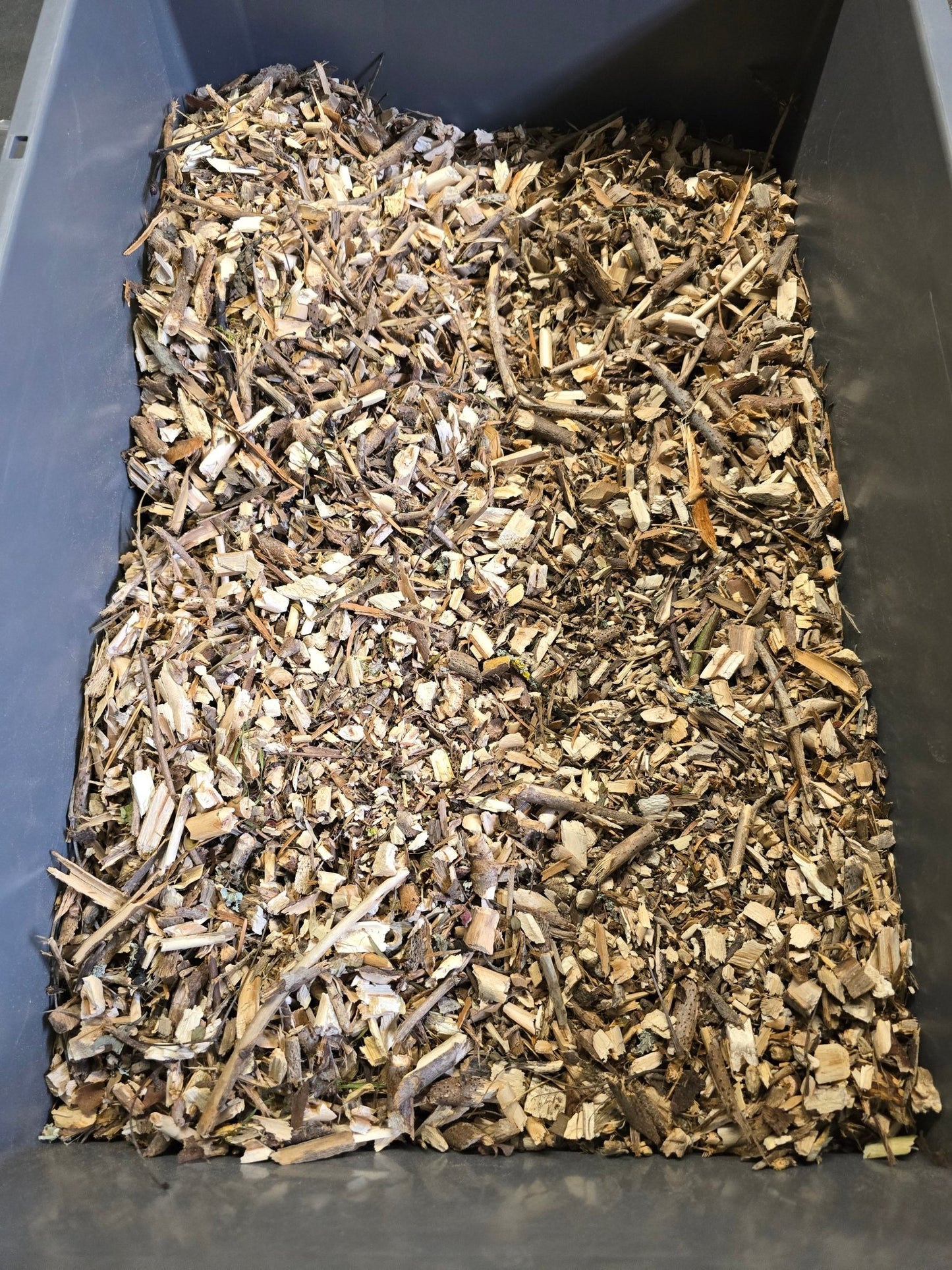 Bois blanc broyé