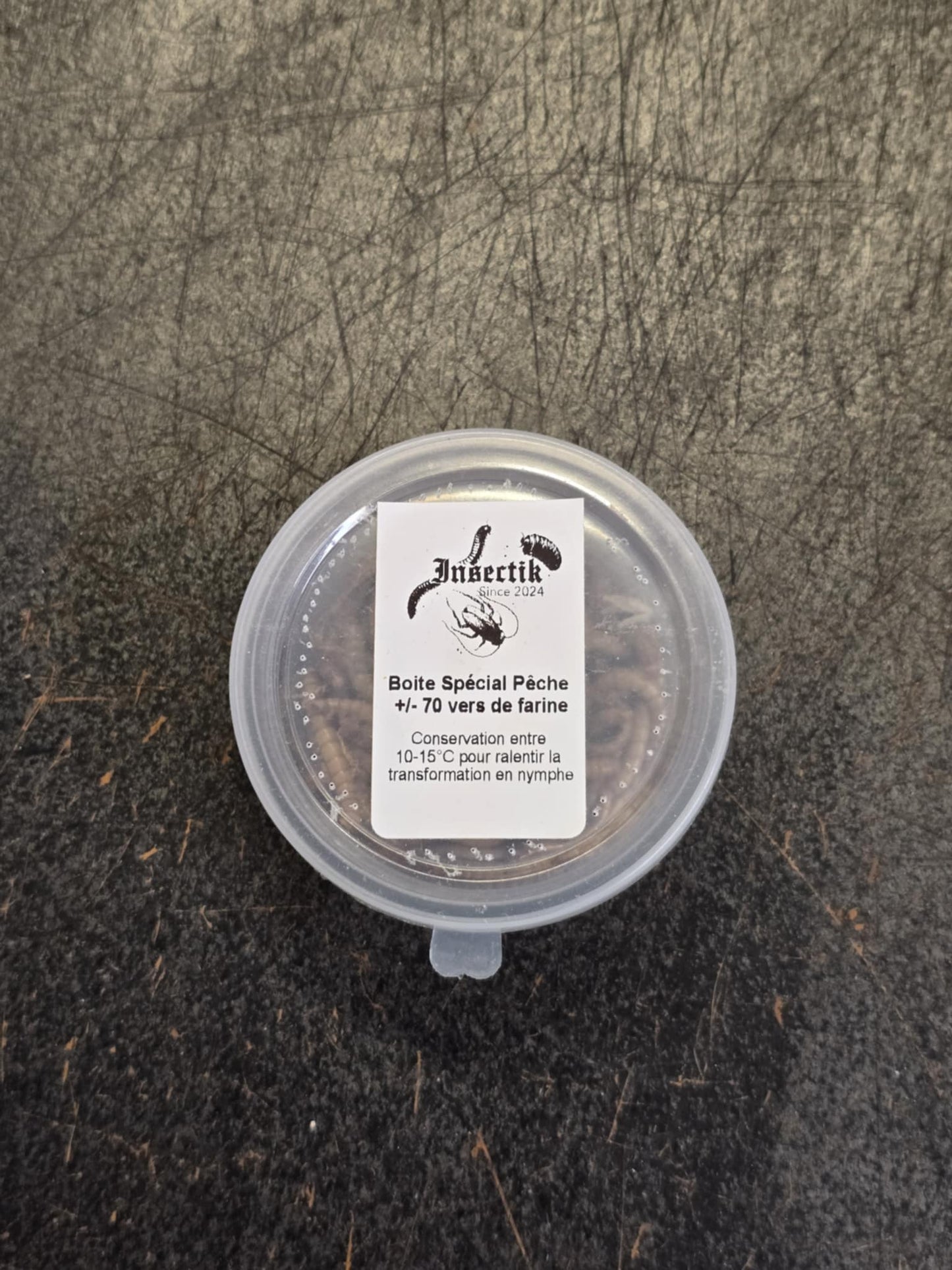 Vers de farine pour la pêche