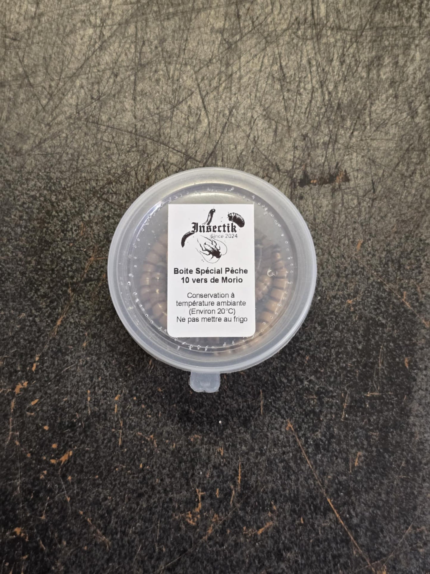 Vers de Morio pour la pêche