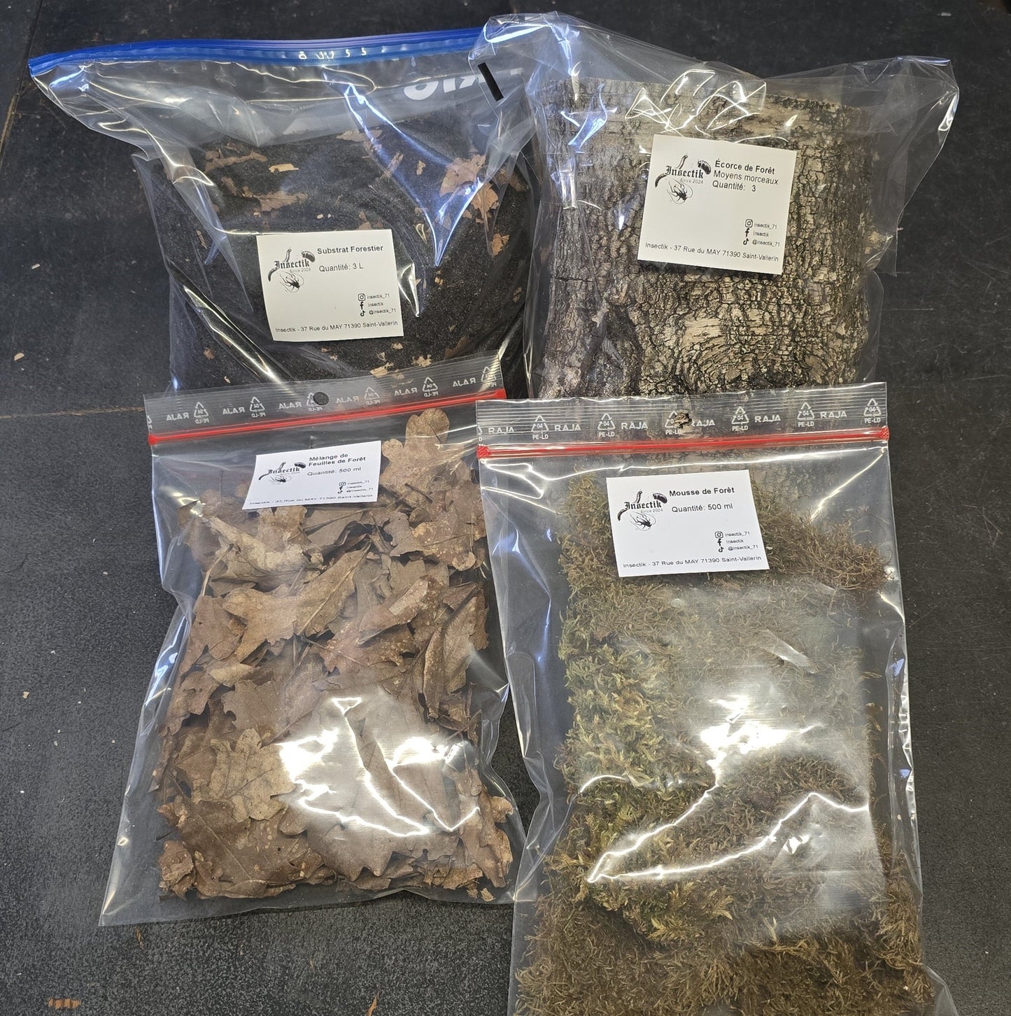 Kit Terrarium Bioactif Complet