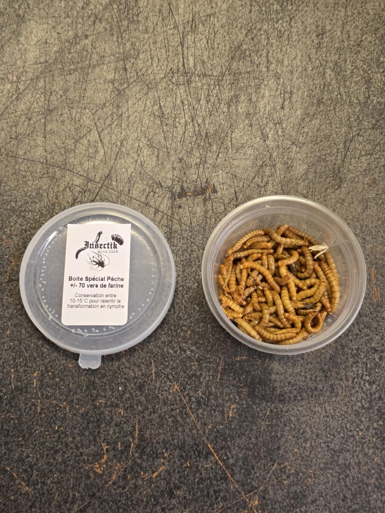 Appâts vivants – Pêche