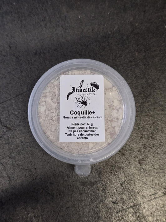Coquille+