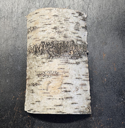 Écorce de Forêt