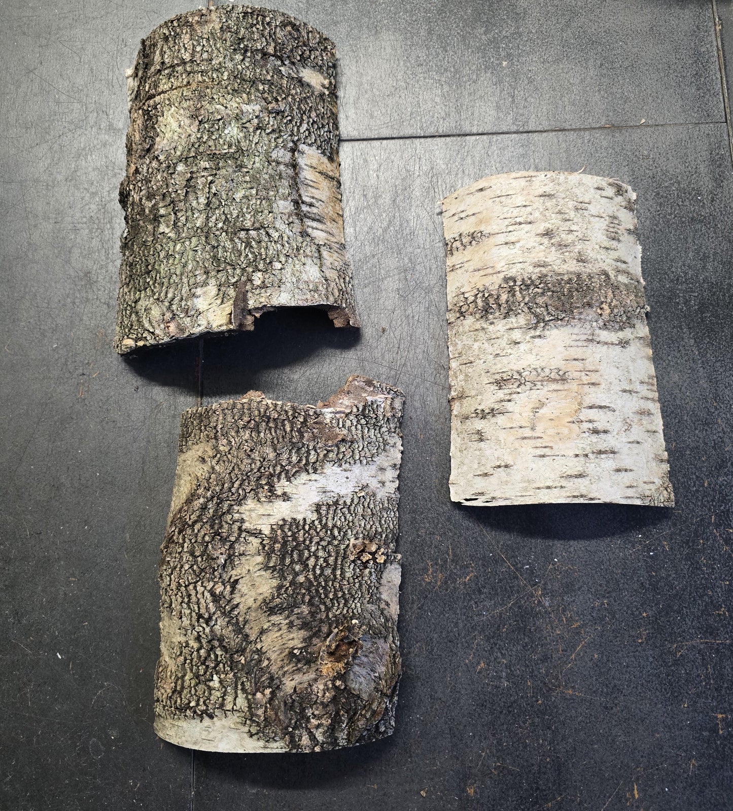 Écorce de Forêt