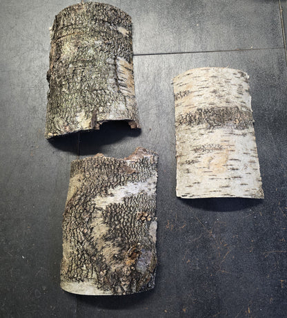 Écorce de Forêt