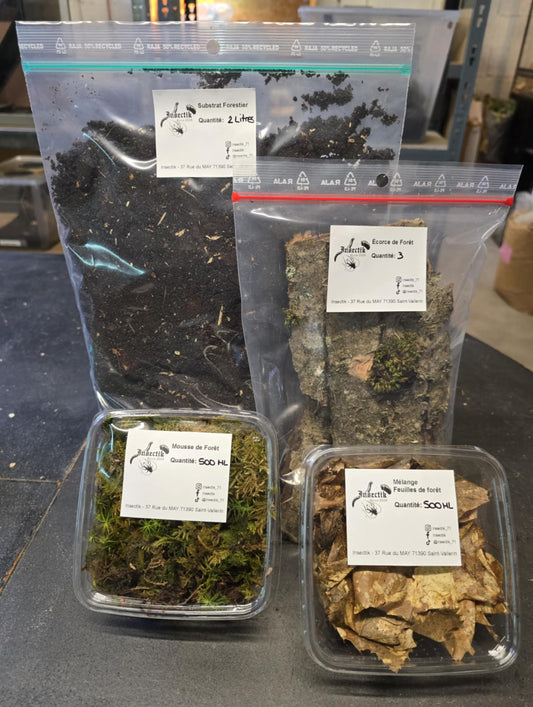 Kit Terrarium Bioactif Complet