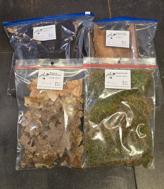 Kit Terrarium Bioactif Complet