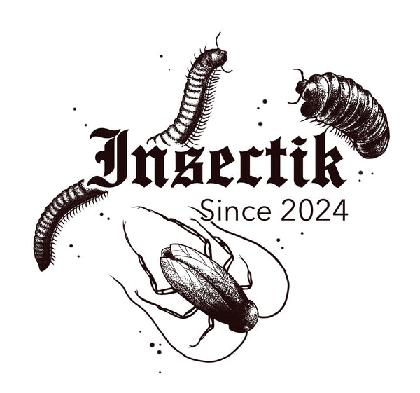 Insectik