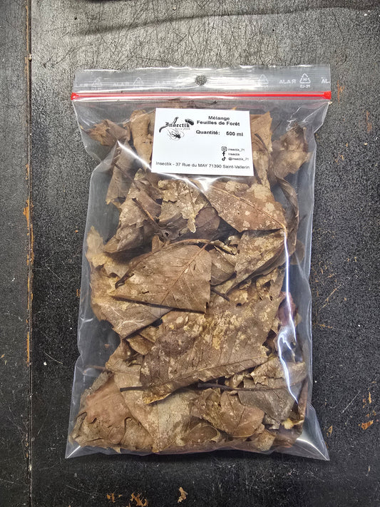 Mélange de Feuilles de Forêt