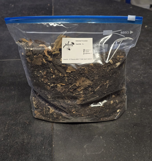 Substrat Forestier