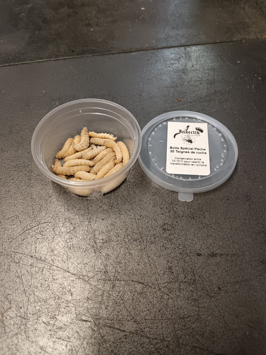 Teignes de Ruche pour la pêche